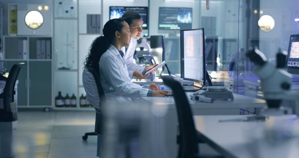 Optimize Business Growth Through Technology